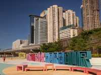 The Whispers of Salt and Steel