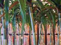 台灣新文化運動紀念館