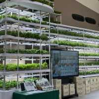  NEXTOPIA | 5th Floor, Siam Paragon🌏