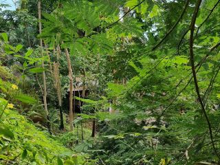 โครงการอีเดน