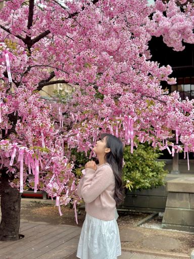 もうすぐ東京がピンク色に染まる桜スポット。 | Trip.com 東京