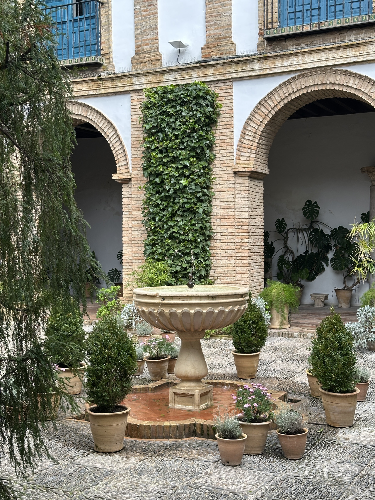 🌹 Khám phá tâm hồn của Cordoba: Palazzo Viana, một cuộc gặp gỡ lãng mạn với 12 sân trong.