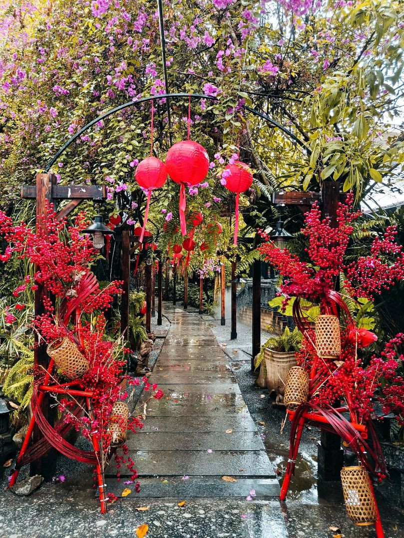レナンセラ・ロニン・レッド 希少 洋ラン 観葉植物 吊り下げ calm cafe ダナンの熱帯雨林カフェ「34 Tropical」 | Trip.com ダナン