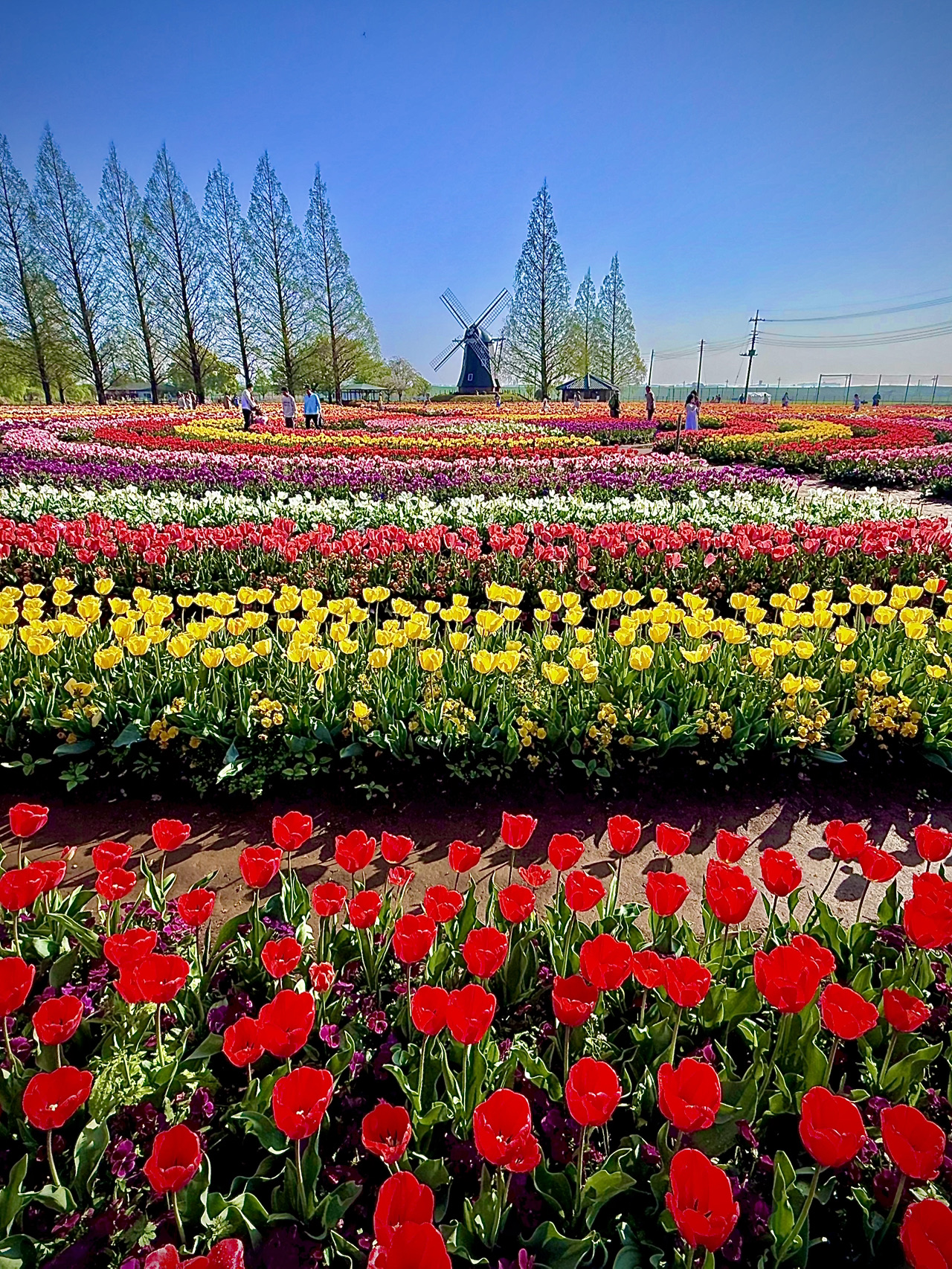 akebonoyama agriculture park