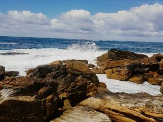 Coastal Journey of Bondi to Coogee