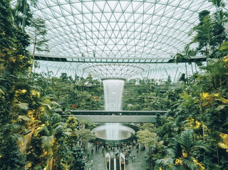 #arrivalguide  

Singapore in transit? ✈️😍 Don’t miss chilling at the world-famous Changi Airport—it’s literally a destination all by itself!

Here’s why you shouldn’t just breeze through: Changi isn’t your average airport. It’s home to lush indoor gardens, the Insta-famous Rain Vortex waterfall, butterfly sanctuaries, and even a 24/7 movie theater (perfect for killing layover time). Pro tip: Jewel Changi (open 24/7, 78 Airport Blvd.) is connected directly to Terminals 1-3 and stacked with shops and restaurants, so stash your bags in a smart locker and go explore.

For a sky garden escape, head up to Terminal 2’s Sunflower Garden or Terminal 1’s rooftop cactus zone—both are seriously mood-lifting and completely free. Got kids (or just need to recharge)? Check out the immersive play areas and free foot massage chairs scattered throughout.

If you’re food-obsessed, you’ll love that Changi has some of Singapore’s best hawker food and plenty of global cuisine. My tip: try the Hainanese chicken rice at the airport—it actually lives up to the hype!

Getting around Changi is a breeze—just use the free Skytrain between terminals. Secure WiFi, tons of charging stations, and squeaky-clean restrooms make your stay extra comfy.

Quick tips: No visa needed for short stopovers for most nationalities, but always check your requirements just in case. Singapore weather is hot and humid year-round—bring a refillable water bottle!

#ChangiAirport  #SingaporeStopover  #TravelTips  #LayoverHacks 
