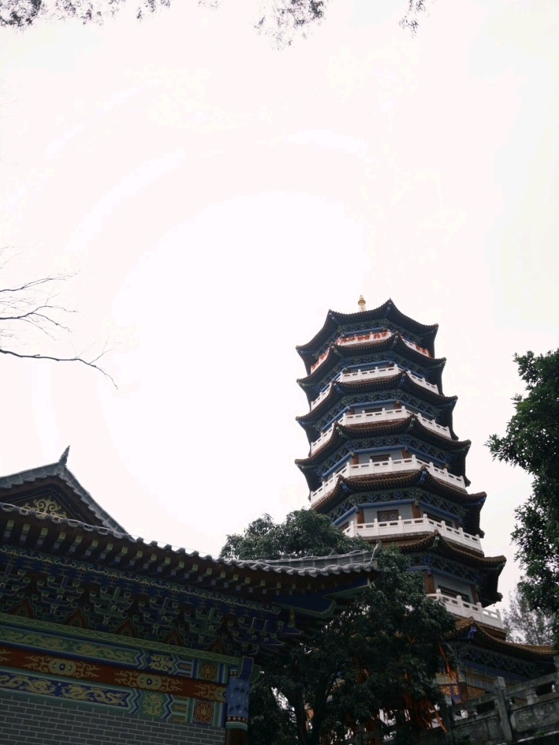 🇻🇳🇨🇳 Just Across the Border: Dongxing's Most Beautiful Park Will Surprise You!