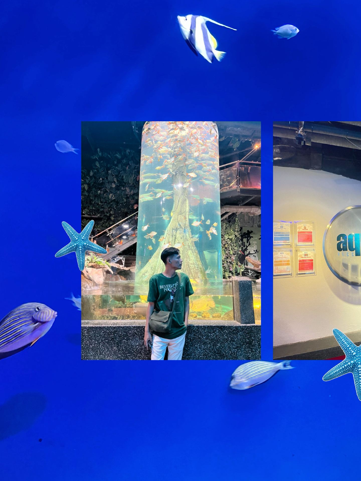 Aquaria KLCC: Tempat Sempurna Buat "Healing" di Tengah Kota.