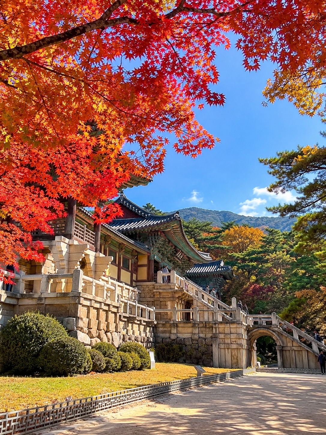 Gyeongju: A Historical Gem You Must Visit
