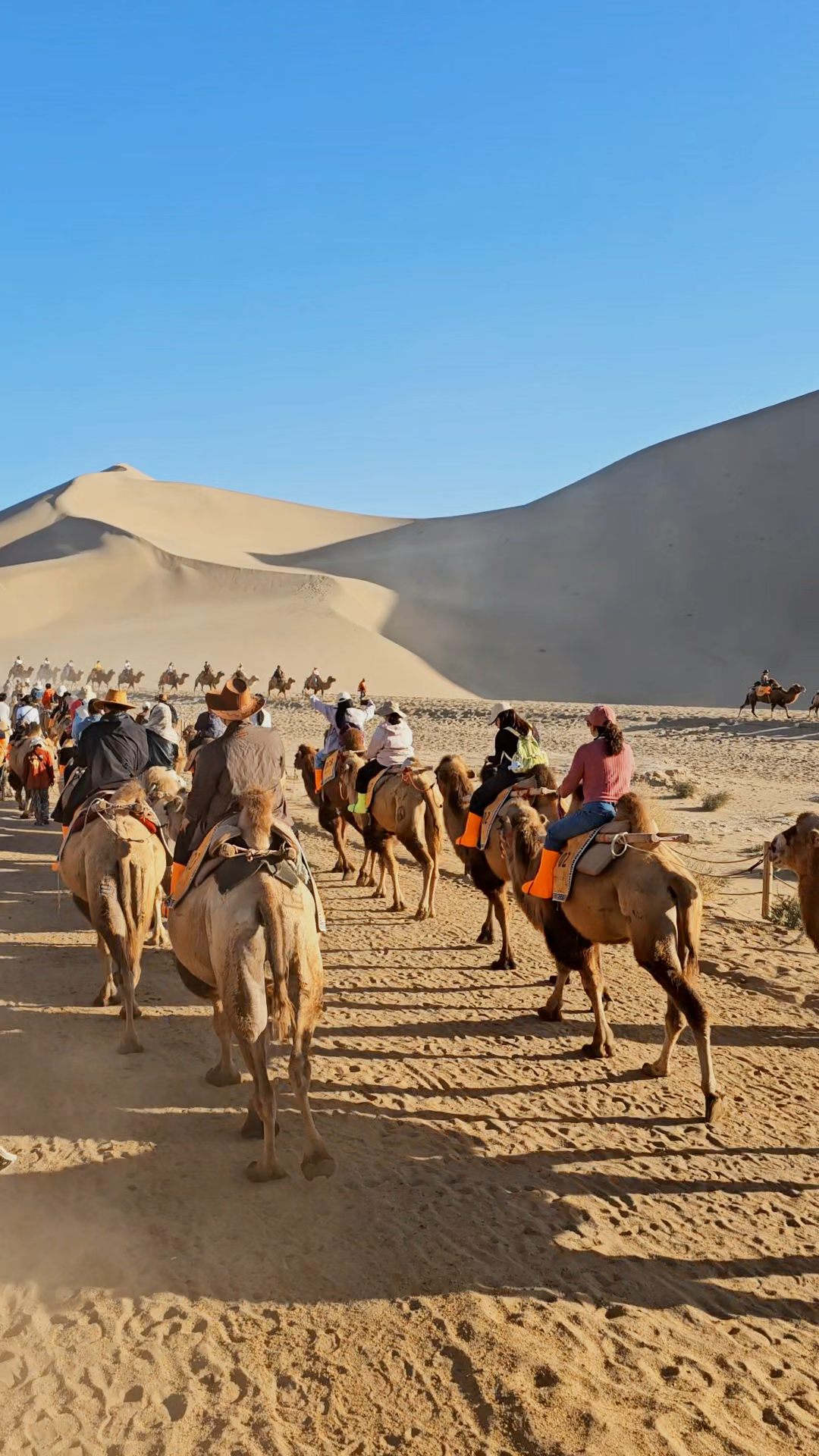 Epic Camel Ride Adventure in Dunhuang 🐪🌵