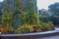 Supertree Grove Singapore: My Unexpected Nature Escape in the Middle of the City