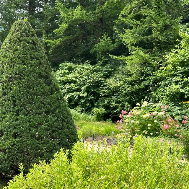 춘천에서 푸릇함이 느낄 수 있는 가든🌿💚