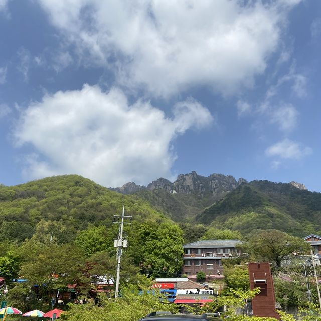완주에 있는 대둔산 등반하면서 꽃구경