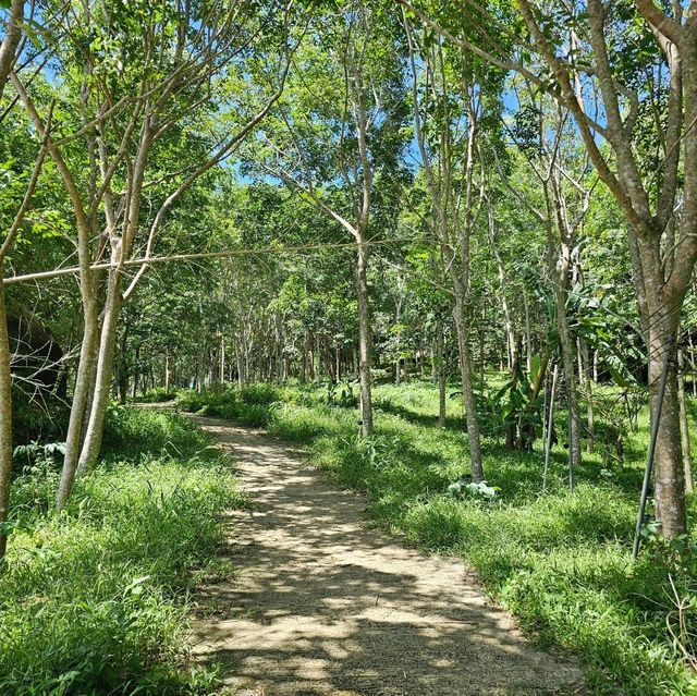 Hiking Up To Big Buddha, Phuket, Thailand.