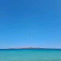 baja california sur メキシコ