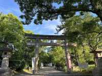 歷史與四季之美交織——和歌山城的古韻之旅
