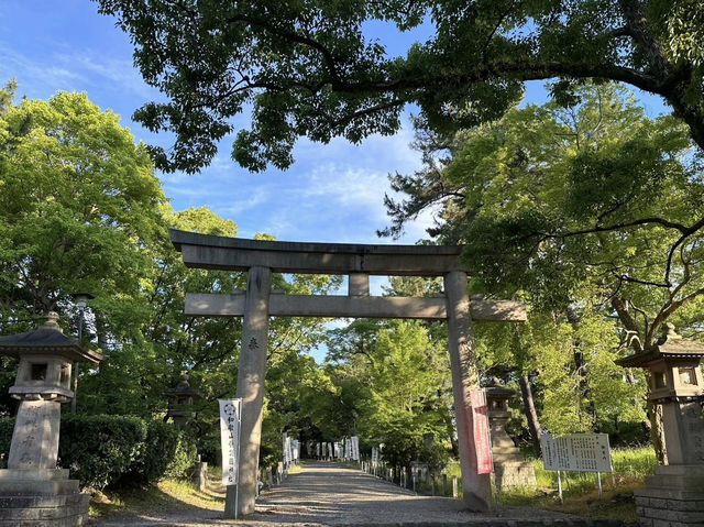 歷史與四季之美交織——和歌山城的古韻之旅