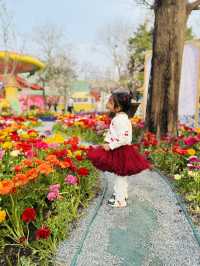 A serene oasis in the heart of Beijing 🌸
