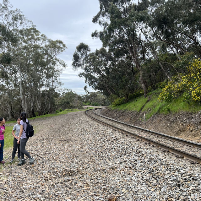 Adelaide 行山推介
