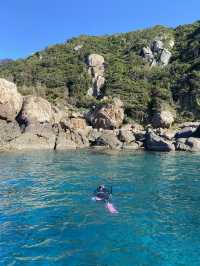 🐟高知の秘境アイランド🇯🇵【鵜来島（うぐるしま）】海に癒される旅