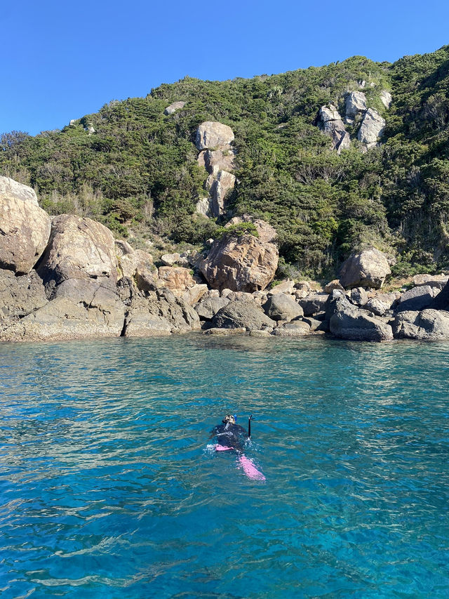 🐟高知の秘境アイランド🇯🇵【鵜来島（うぐるしま）】海に癒される旅