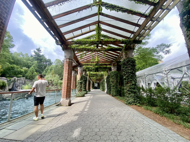 ✨🦜我在紐約中央公園動物園觀雀的樂趣✨