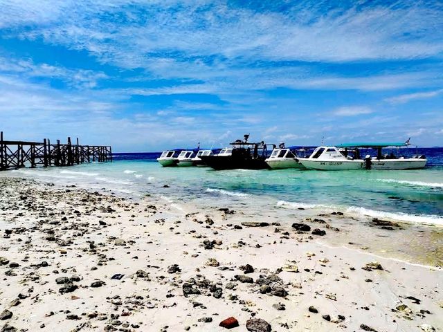 Amazing Sipadan Island