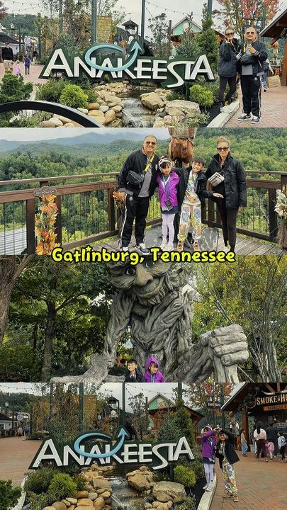 Family Fun Unleashed at Anakeesta! 🌲🎢