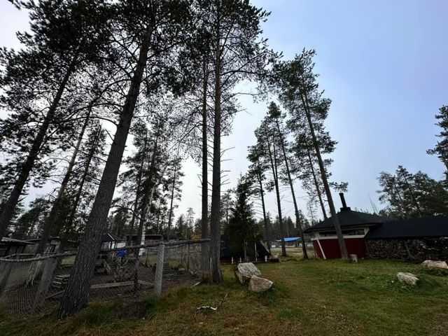芬蘭🇫🇮景點-Äkäskero哈士奇莊園