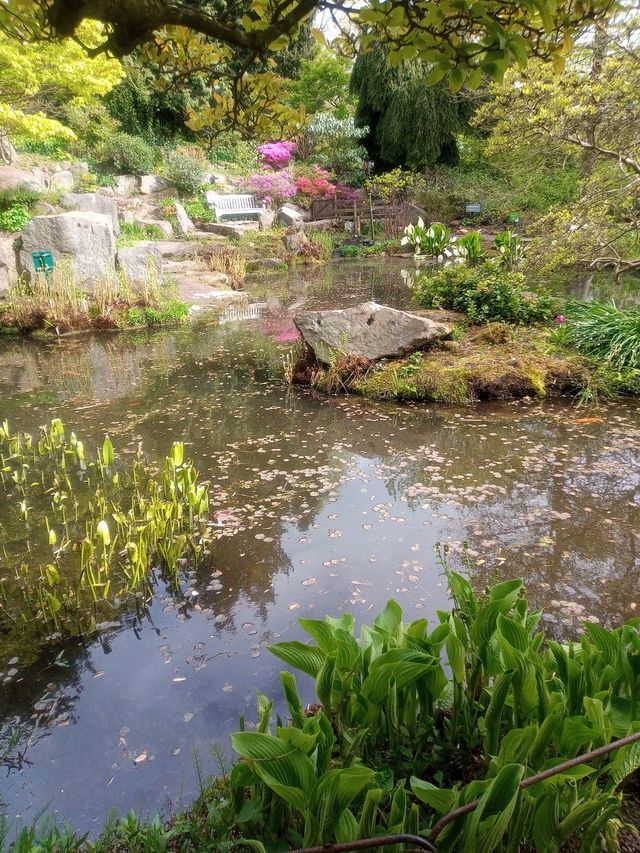 Birmingham Botanical Gardens