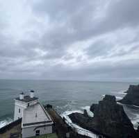Rathlin Island Bird Sanctuary 