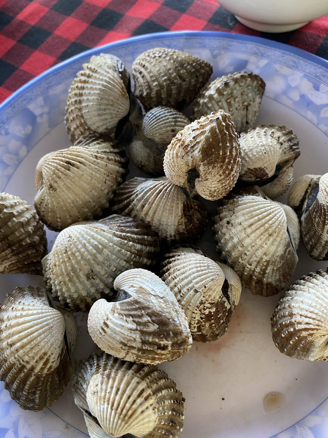 THÀNH PHỐ TUY HOÀ - PHÚ YÊN 🏖️ 