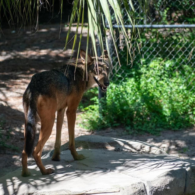 ZooTampa at Lowry Park 🇺🇸 ZooTampa at Lowry Park 🇺🇸