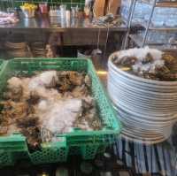 The Freshest Oysters in Town!