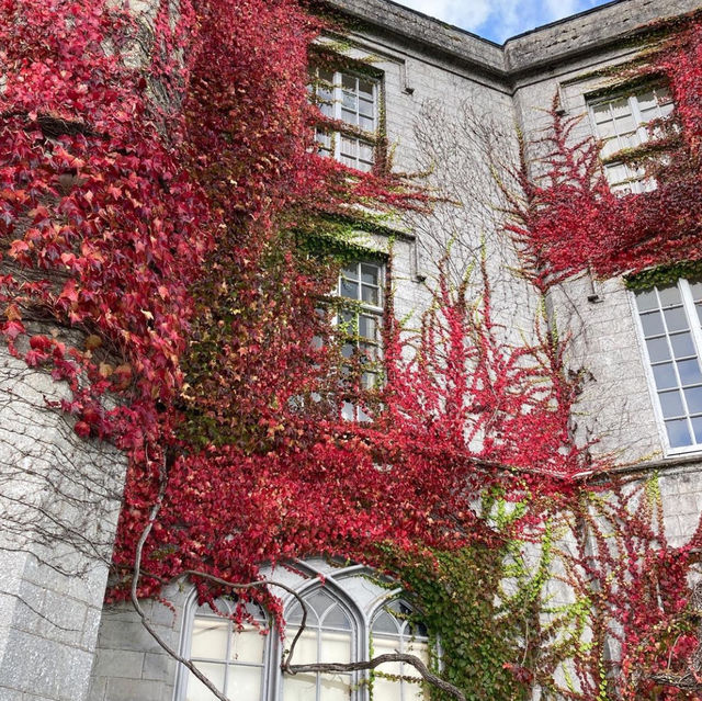 Top 10 photogenic spots in north wales 