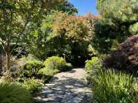 RHS Rosemoor - A garden lovers paradise!