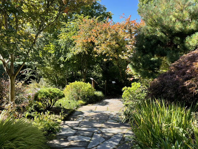 RHS Rosemoor - A garden lovers paradise!