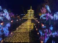 The amazing Christmas illumination at Bihoku Park