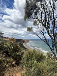 🌊🚗 The Ultimate Great Ocean Road Adventure: Wildlife & Iconic Views 🦘🐨