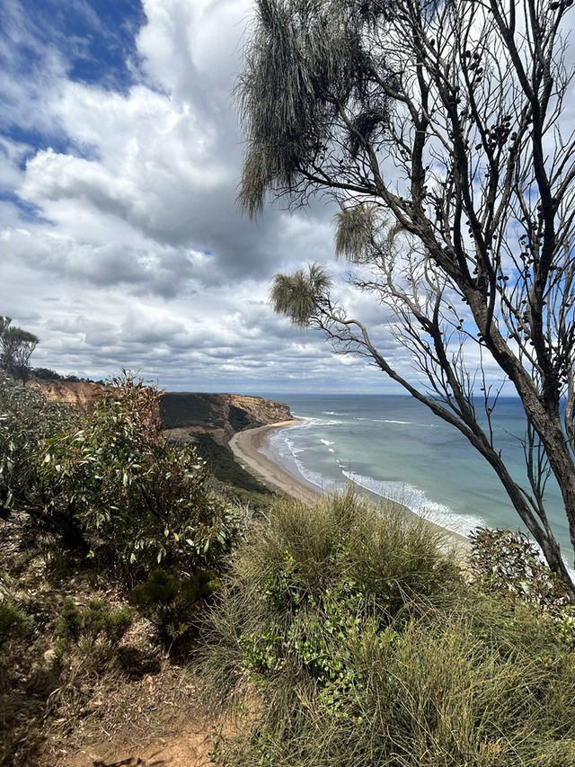 🌊🚗 The Ultimate Great Ocean Road Adventure: Wildlife & Iconic Views 🦘🐨