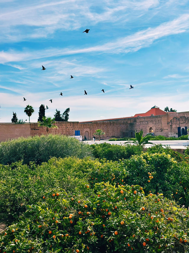 The Lost Grandeur of Marrakesh
