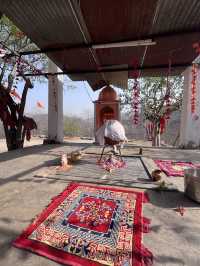 インド・ジャイプールに行くべき5つの理由🇮🇳✈️🌎