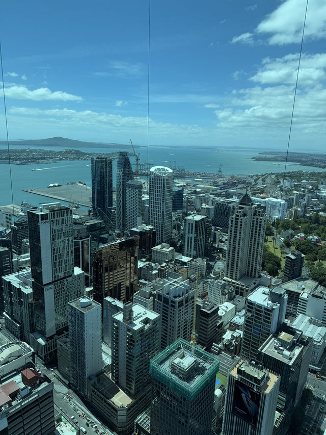 A 360 Ariel View Of Auckland, The Incredible Sky Tower 