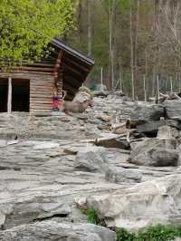 site for kids in Interlaken 