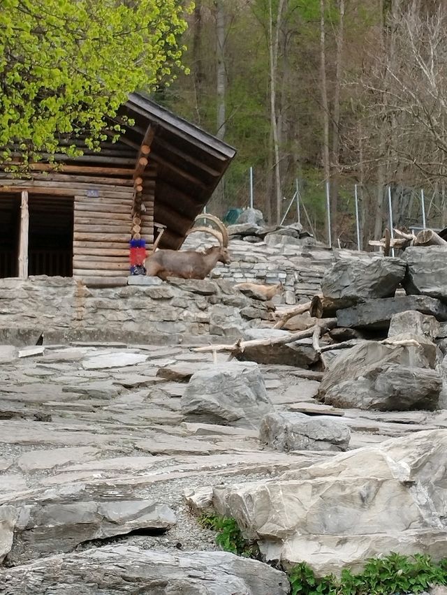site for kids in Interlaken 