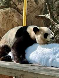 Guangzhou 3 Days Itinerary