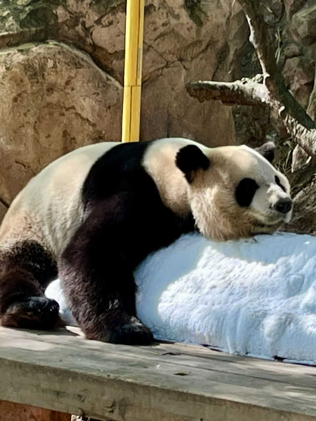 Guangzhou 3 Days Itinerary