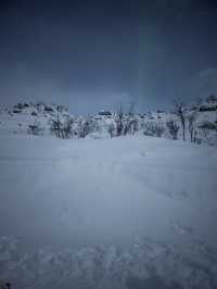A trip to Tromso