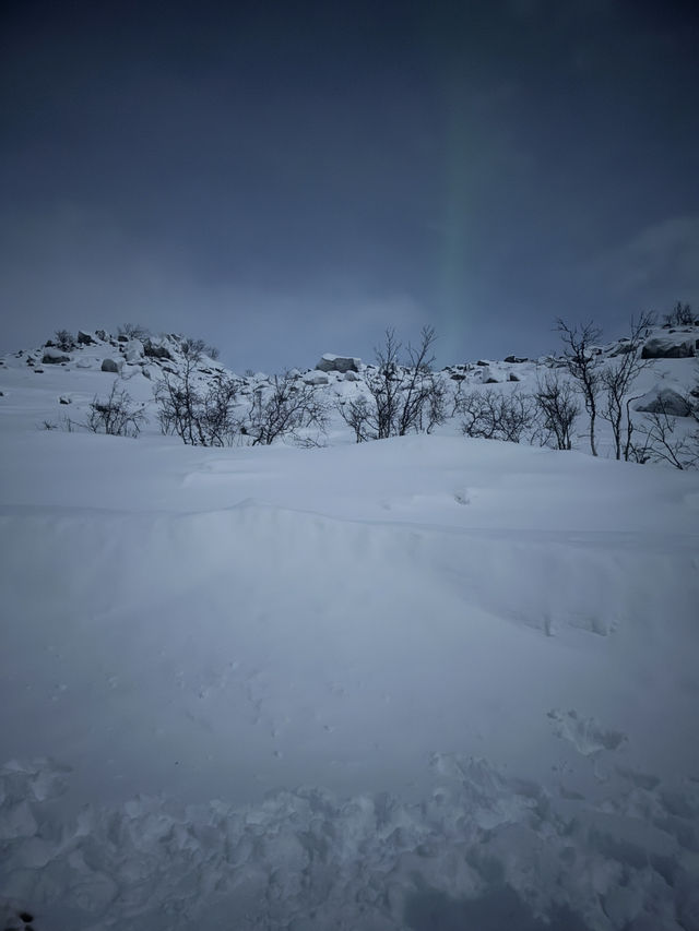 A trip to Tromso