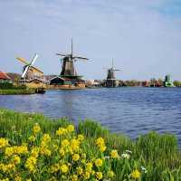 A Windmill Wonderland: A Day Trip to Zaanse Schans from Amsterdam